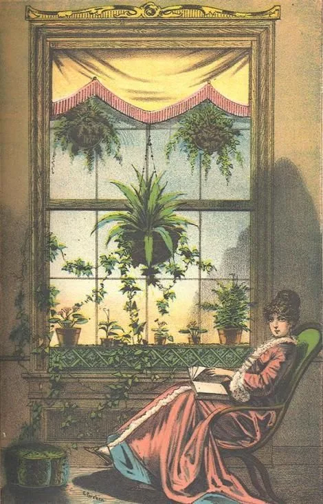 Pteridomania: The Fern Craze That Took Victorian Britain by Storm