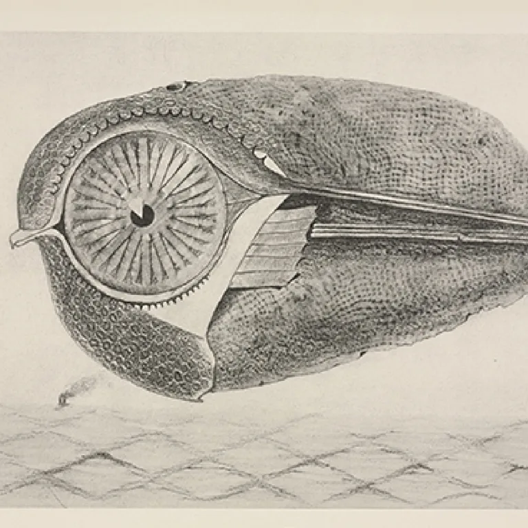 Play Like a Surrealist: 13 Surrealist Games and Techniques to Unleash Kids Creativity