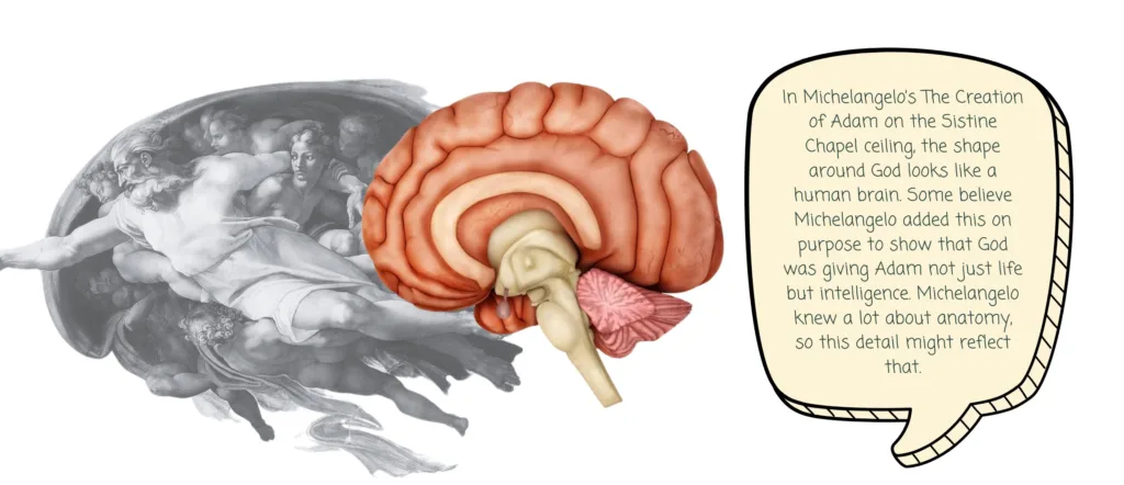 Close-up of God’s shape resembling a human brain in The Creation of Adam with speech bubble explanation - art history mysteries for kids
