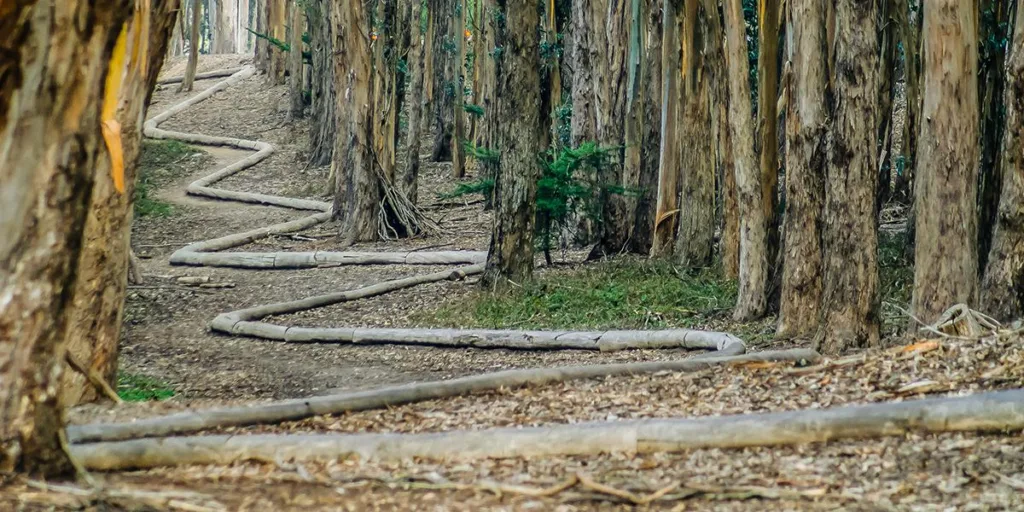 Andy Goldsworthy - Wood Line