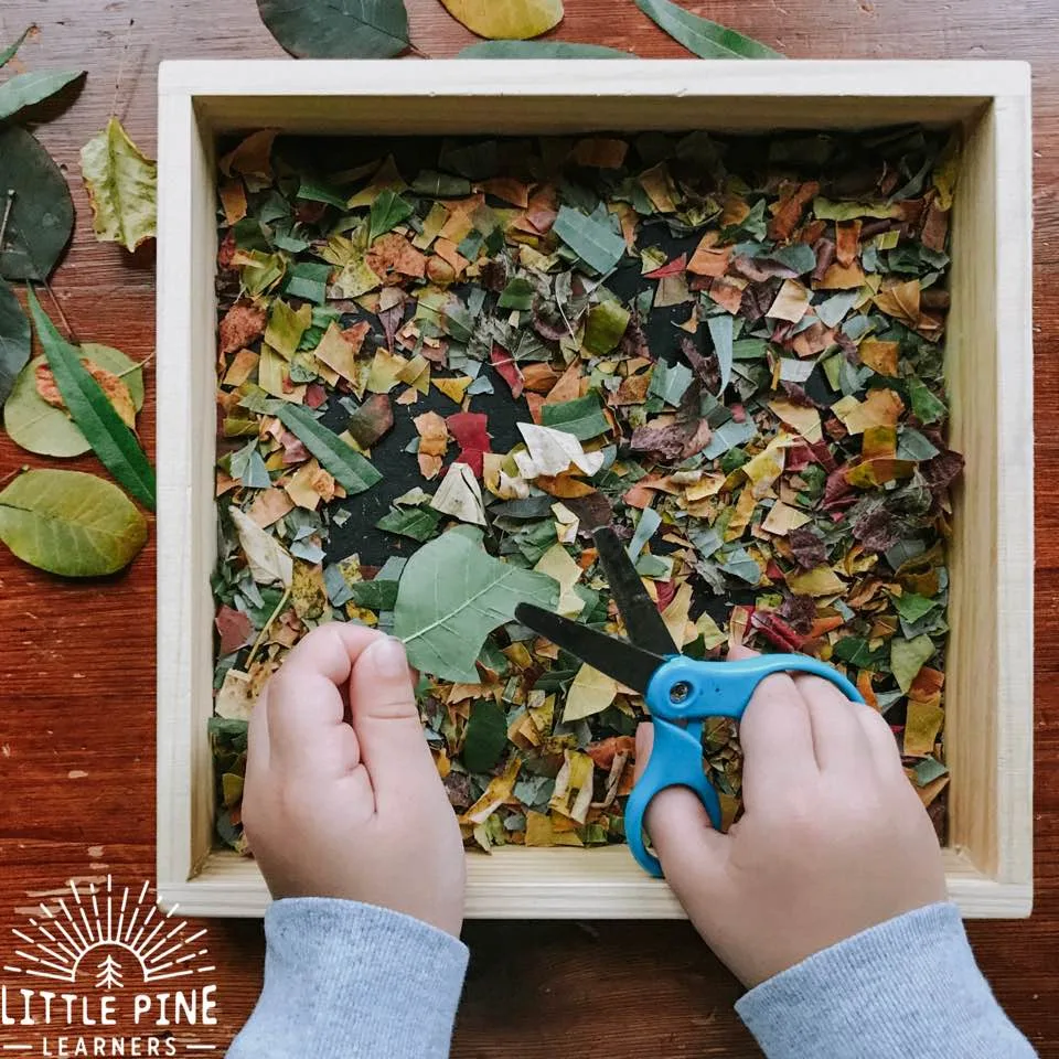 Fall Leaf Sensory Writing Tray 1