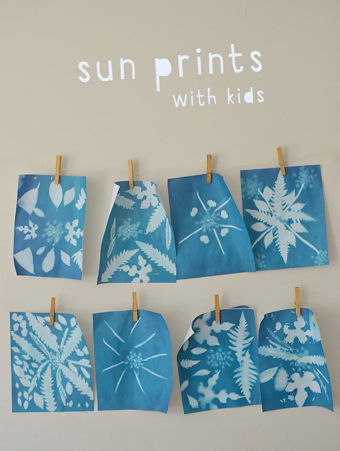 sun prints 6