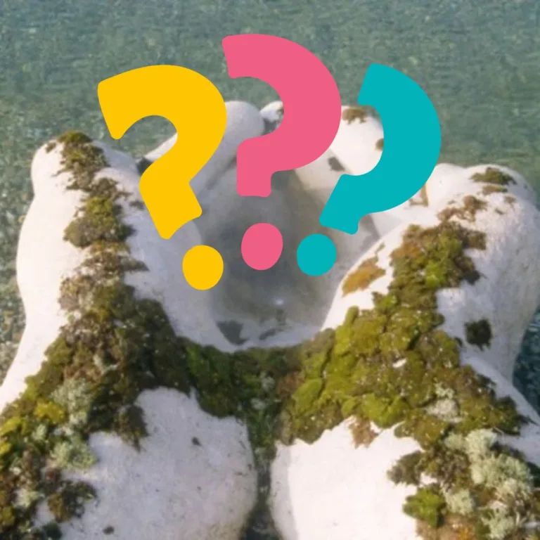 What Is Ecofeminist Art?