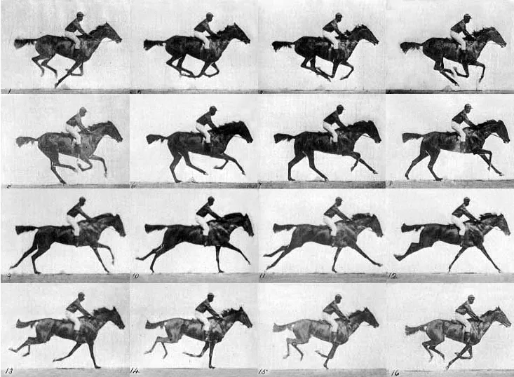 The Horse in Motion Eadweard Muybridge 1878