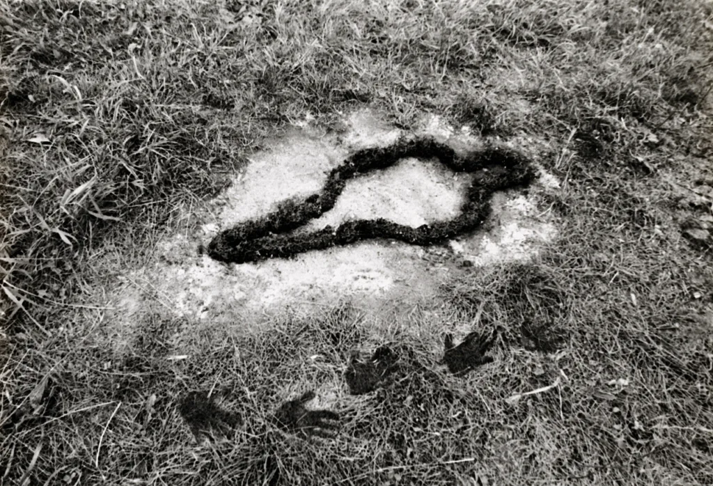 What is Environmental Art? 7 Iconic Environmental Artworks You Should Know About 7 98.5239 web 1 2